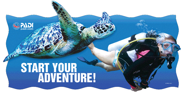 PADI Adventure diver poster